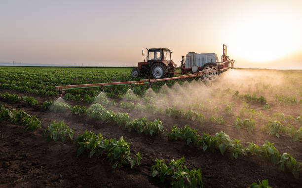 Pest Prevention Services in Spiro, OK