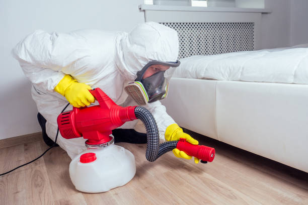Best Ant Control Services  in Spiro, OK