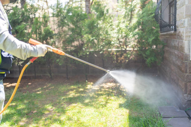 Best Pest Control for Homes  in Spiro, OK