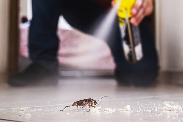 Trusted Spiro, OK Pest Control Experts