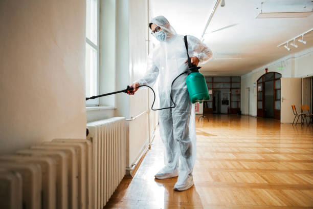Best Flea Control Services  in Spiro, OK