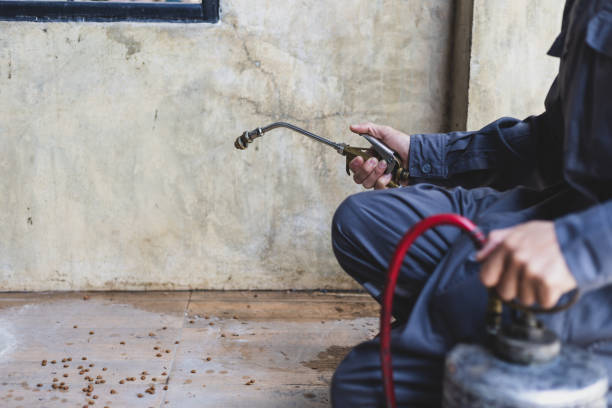 Best Emergency Pest Control  in Spiro, OK