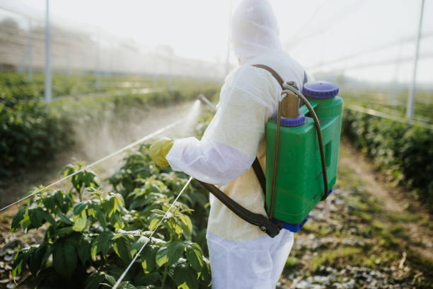 Best Wasp Removal Services  in Spiro, OK
